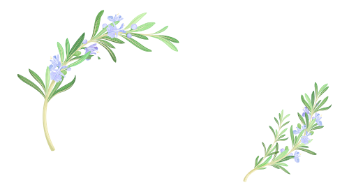 健康、美肌、睡眠や体質改善にお悩みなら釧路市のナチュラル サリエへお越しください。